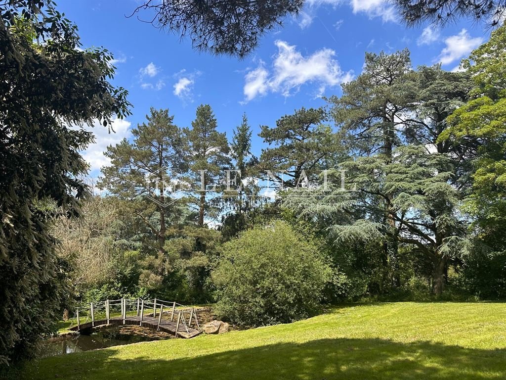 Whispers of Loire: A 19th-Century Château Veiled in Forest and Legend