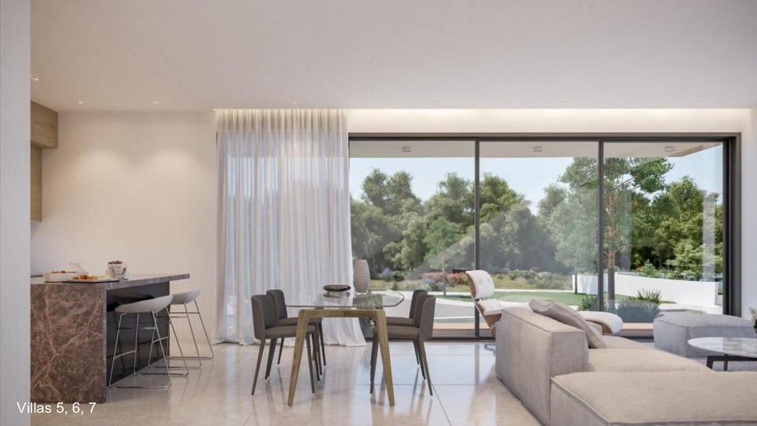 Villa in Agios Georgios, Limassol, Cyprus 2 - 14429762