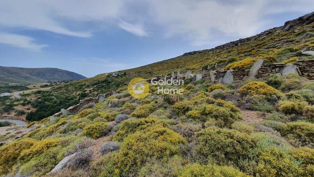 Land in Andros, Aegean, Greece 1 - 14434468