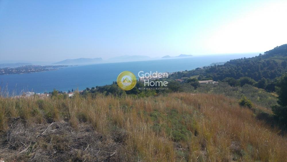 Land in Spetses, Attica, Greece 4 - 14434459