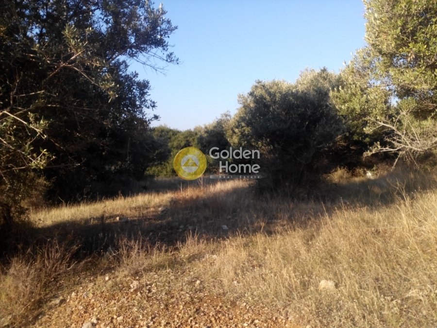 Land in Saronida, Attica, Greece 2 - 14434451