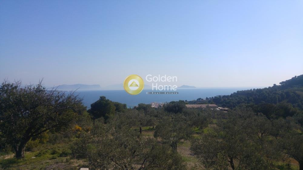 Land in Spetses, Attica, Greece 3 - 14434459