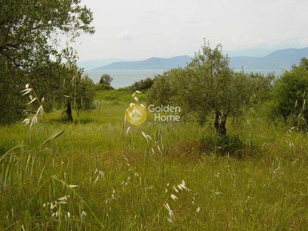 Land in Istiaia-Aidipsos, Thessaly and Central Greece, Greece 1 - 14434487