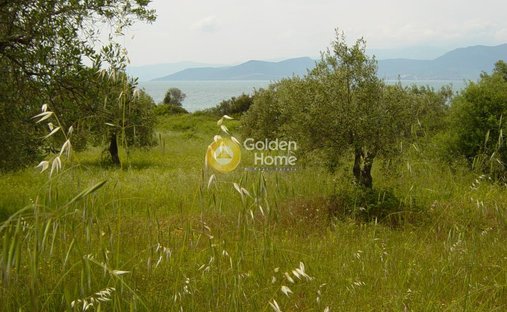Land in Istiaia-Aidipsos, Thessaly and Central Greece, Greece 1