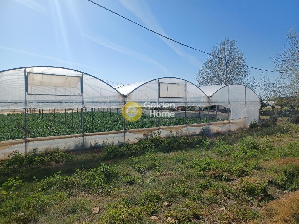 Land in Community of Kiveri, Lerna, Greece 4 - 14434461