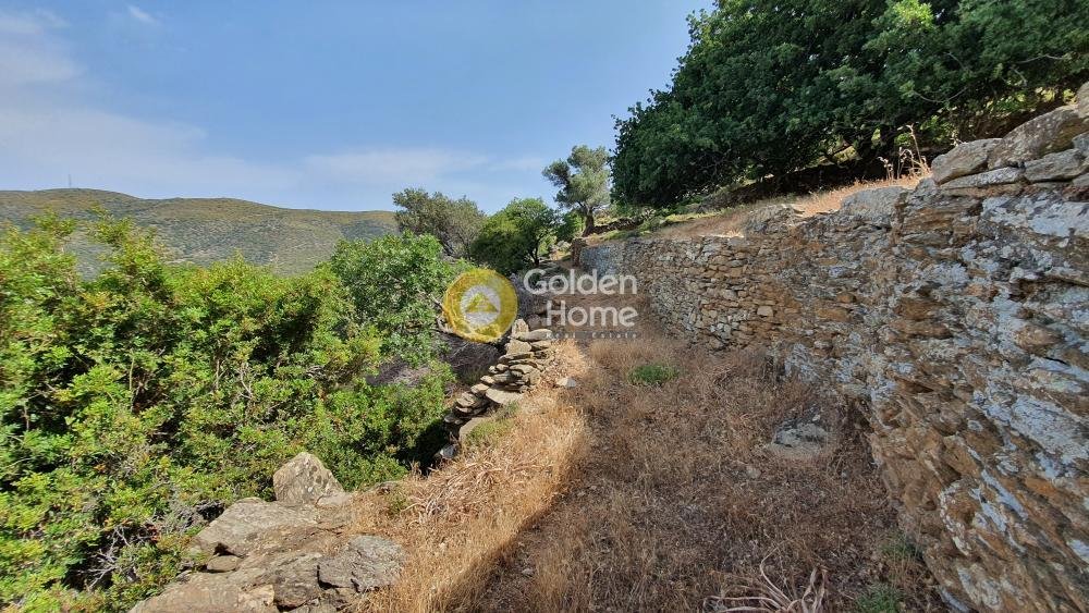 Land in Andros, Aegean, Greece 3 - 14434468