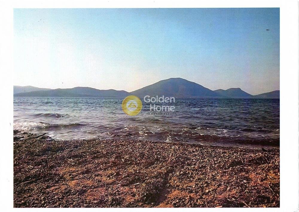 Land in Istiaia-Aidipsos, Thessaly and Central Greece, Greece 4 - 14434481