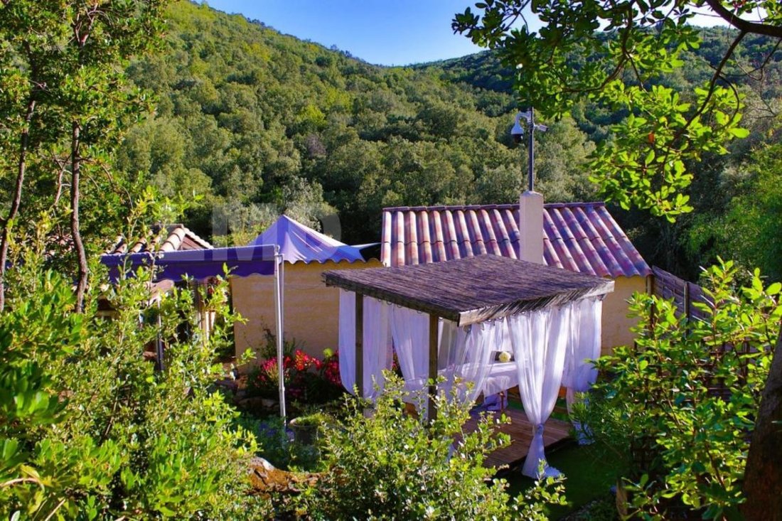 House in Anduze, Occitania, France 5 - 14431982