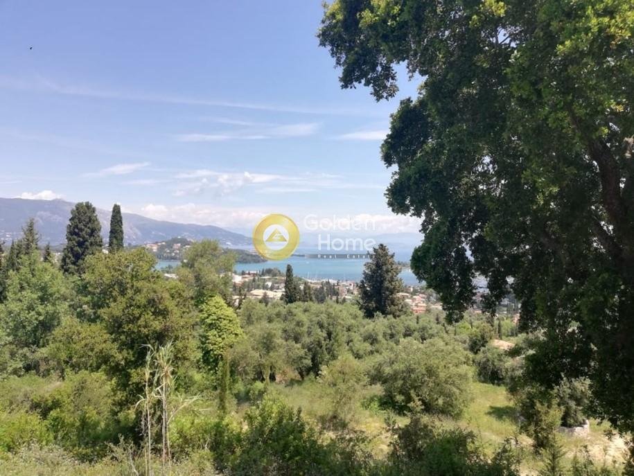 Land in Corfu, Peloponnese, Western Greece and the Ionian, Greece 5 - 14434503