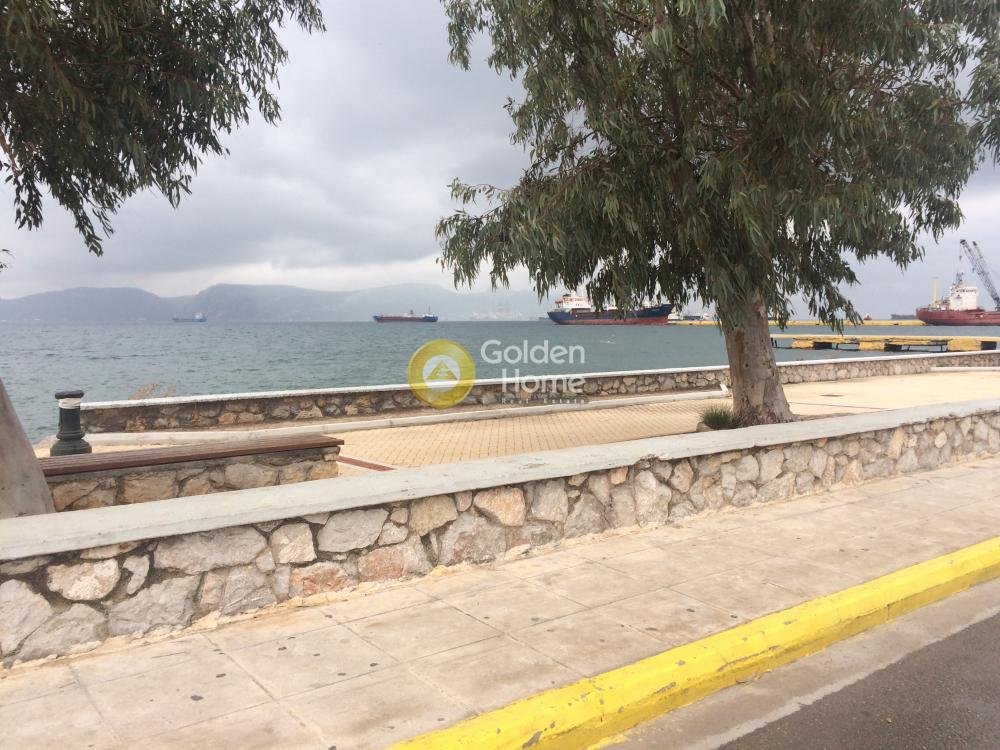 Land in Elefsina, Attica, Greece 1 - 14434456