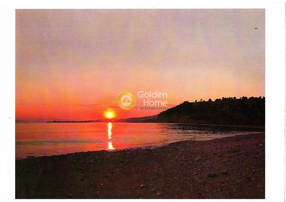 Land in Istiaia-Aidipsos, Thessaly and Central Greece, Greece 5 - 14434481