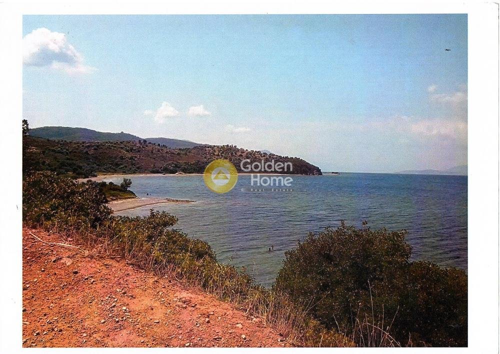 Land in Istiaia-Aidipsos, Thessaly and Central Greece, Greece 3 - 14434487
