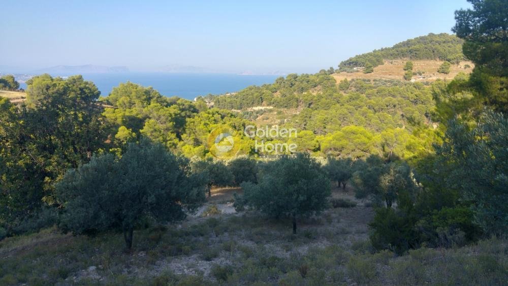Land in Spetses, Attica, Greece 5 - 14434459