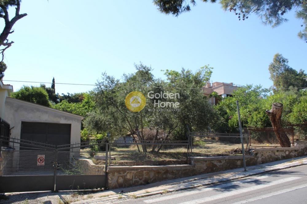 Land in Penteli, Attica, Greece 1 - 14434458