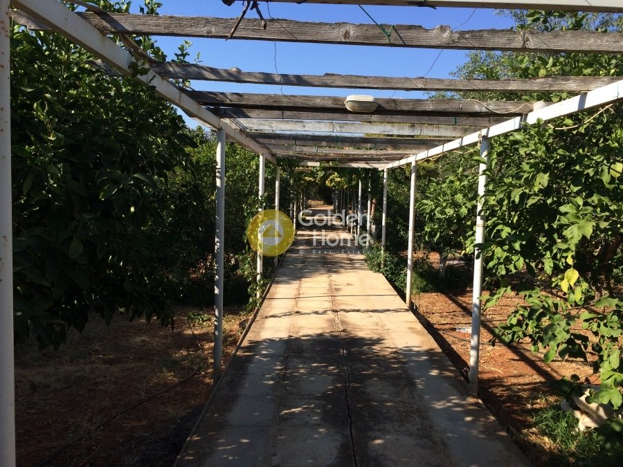 Land in Vari, Attica, Greece 1 - 14434450