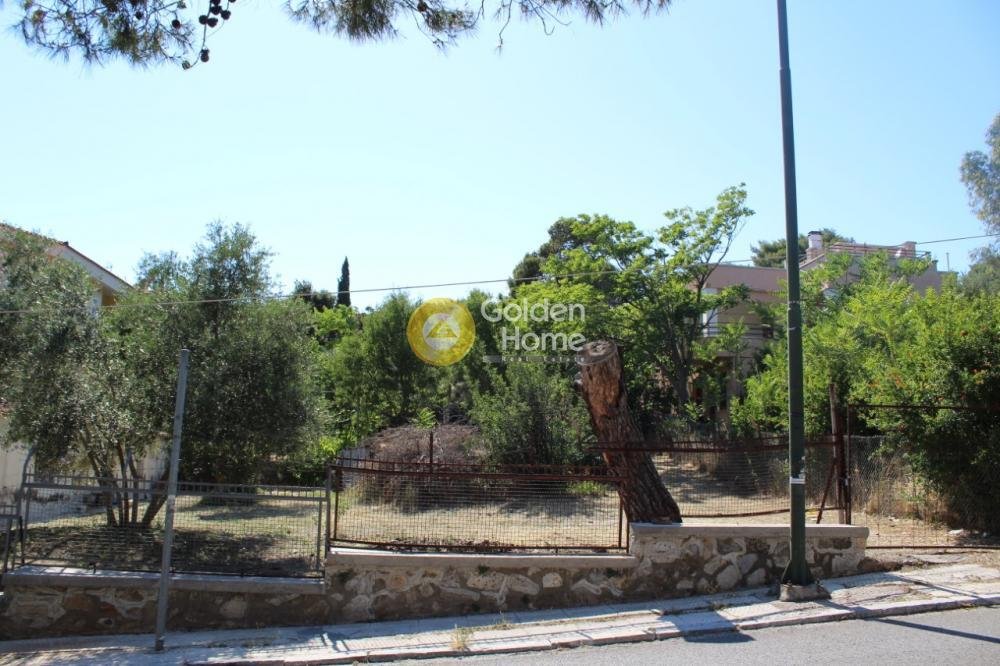 Land in Penteli, Attica, Greece 2 - 14434458