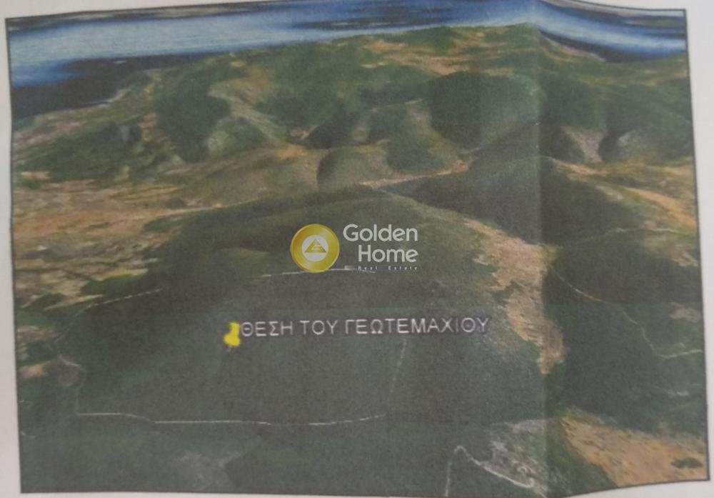 Land in Solomou, Peloponnese, Western Greece and the Ionian, Greece 1 - 14434464