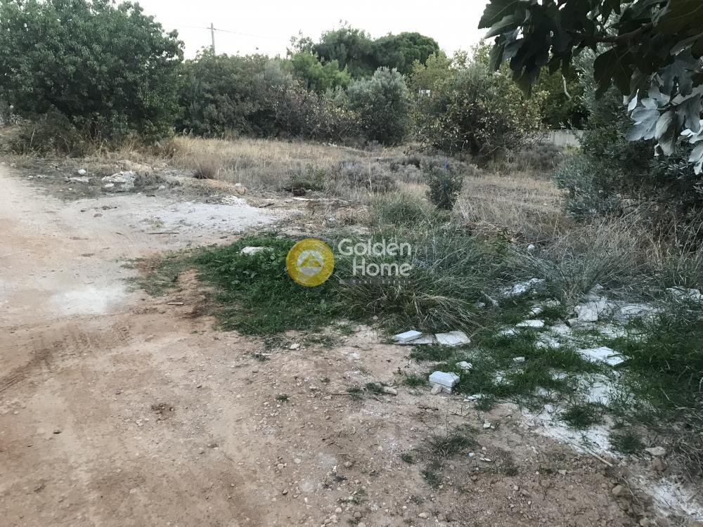 Land in Kalyvia Thorikou, Attica, Greece 4 - 14434454