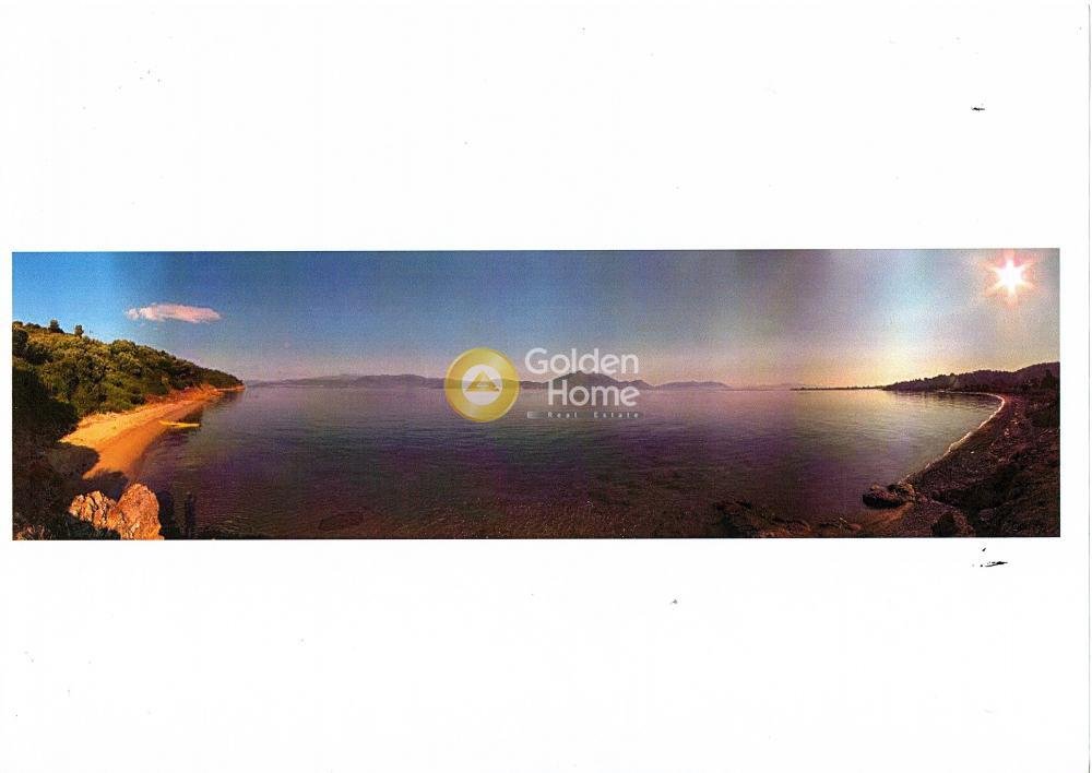 Land in Istiaia-Aidipsos, Thessaly and Central Greece, Greece 5 - 14434487