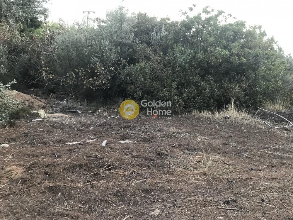 Land in Kalyvia Thorikou, Attica, Greece 3 - 14434454