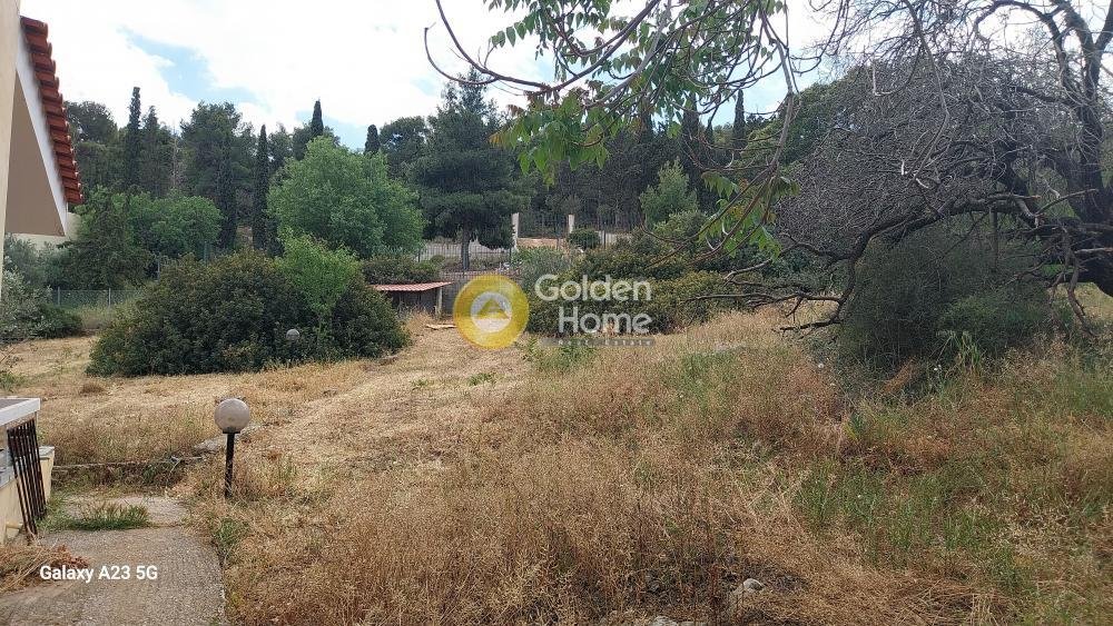 Land in Paiania, Attica, Greece 1 - 14434501
