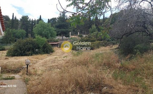 Land in Paiania, Attica, Greece 1