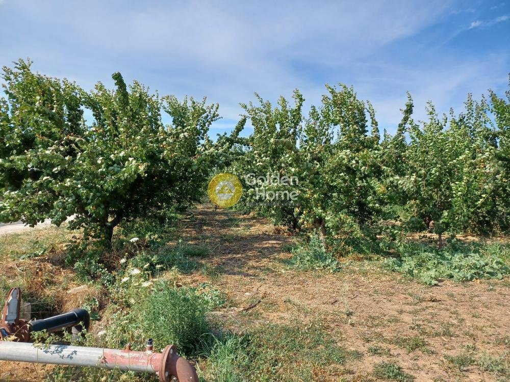 Land in Community of Kiveri, Lerna, Greece 5 - 14434461