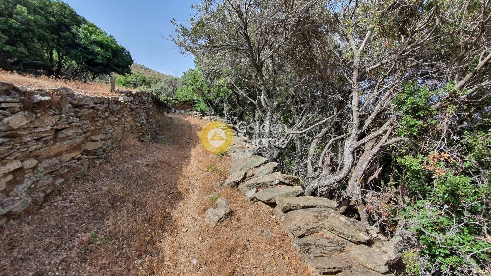Land in Andros, Aegean, Greece 4 - 14434468