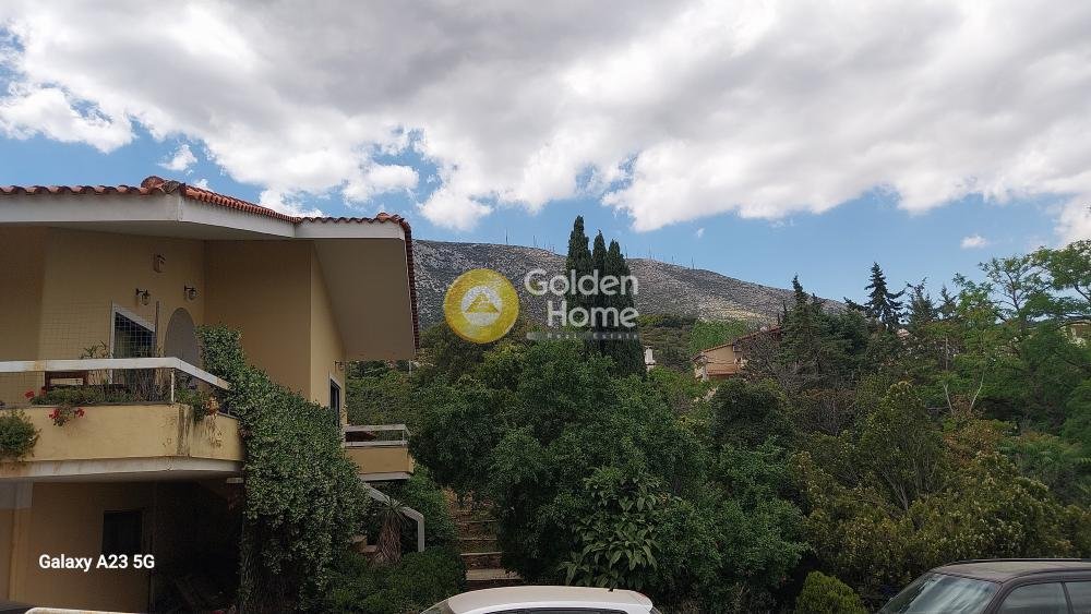 Land in Paiania, Attica, Greece 1 - 14434499