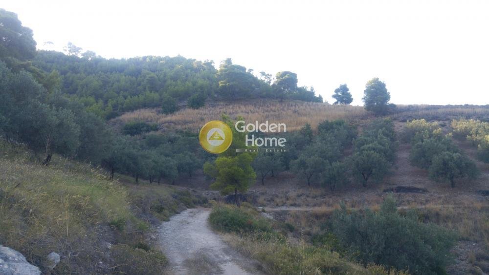 Land in Spetses, Attica, Greece 2 - 14434459