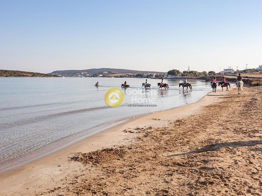 Land in Paros, Aegean, Greece 2 - 14434479