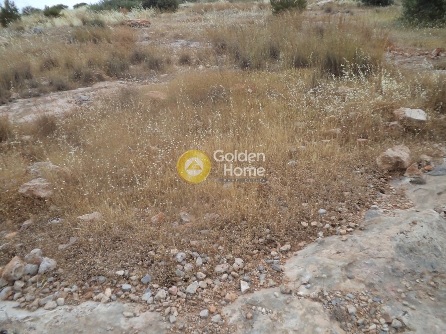 Land in Glyfada, Attica, Greece 5 - 14434449