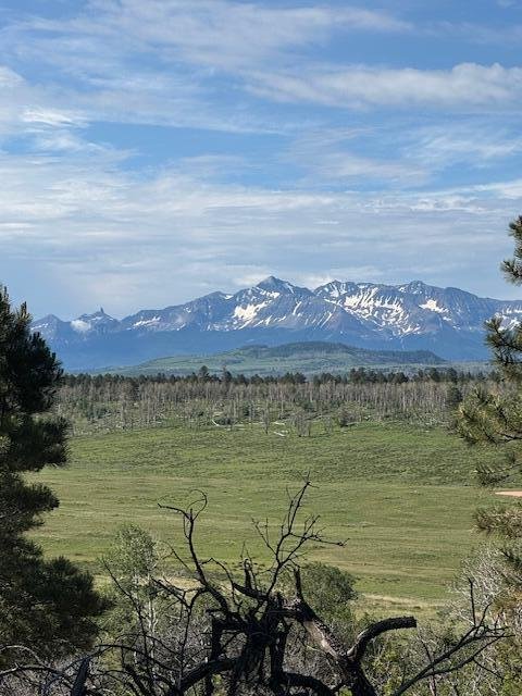 Land in Placerville, Colorado, United States 1 - 14435219