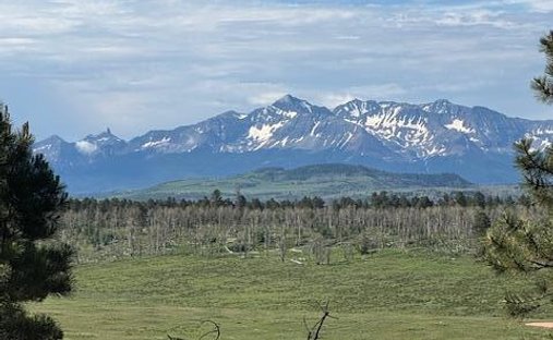 Land in Placerville, Colorado, United States 1