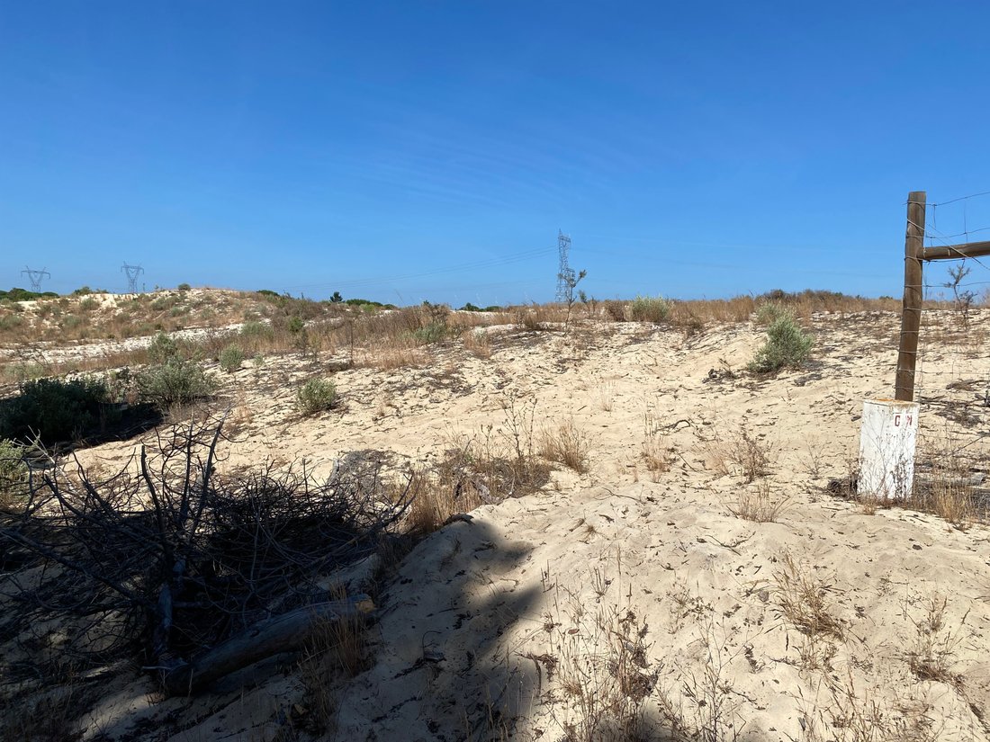 Land in Grandola e Santa Margarida da Serra, Setubal, Portugal 4 - 14430772