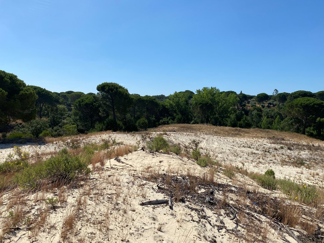 Land in Grandola e Santa Margarida da Serra, Setubal, Portugal 2 - 14430772