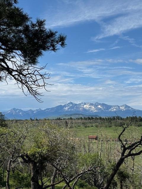 Land in Placerville, Colorado, United States 3 - 14435219