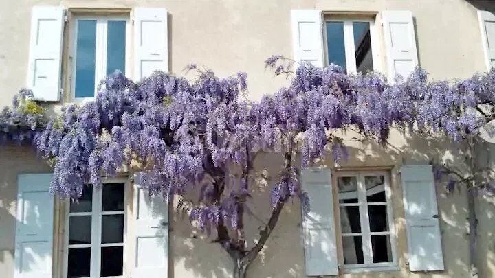 House in Aouste-sur-Sye, Auvergne-Rhône-Alpes, France 2 - 14434803