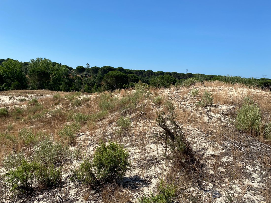 Land in Grandola e Santa Margarida da Serra, Setubal, Portugal 1 - 14430772