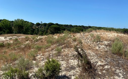 Land in Grandola e Santa Margarida da Serra, Setubal, Portugal 1