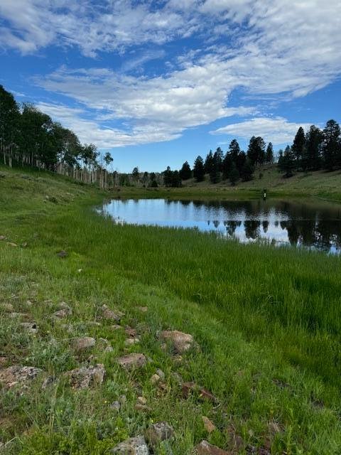 Land in Placerville, Colorado, United States 4 - 14435219