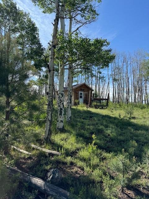 Land in Placerville, Colorado, United States 2 - 14435219