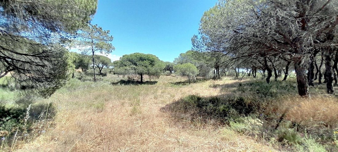 Land in Almancil, Algarve, Portugal 2 - 14432850