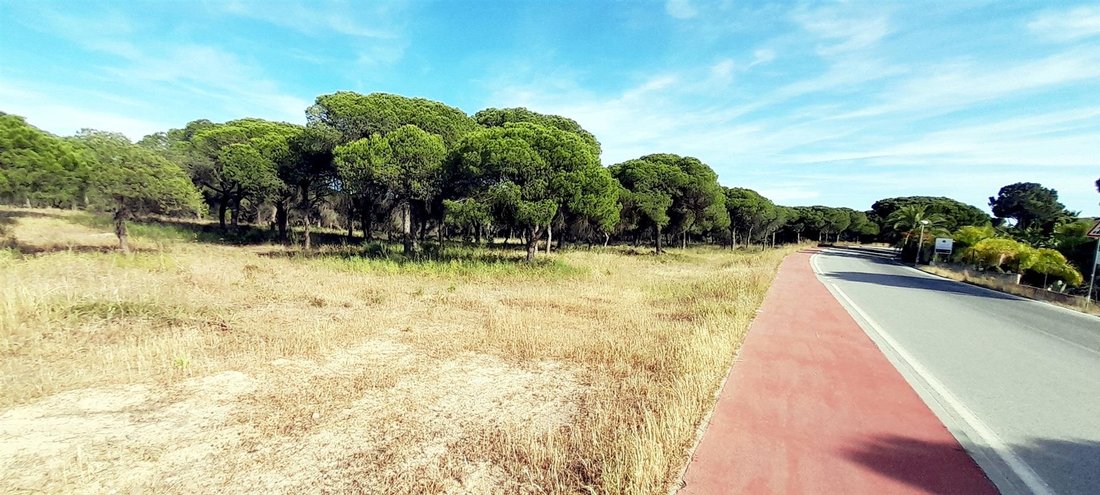 Land in Almancil, Algarve, Portugal 1 - 14432850