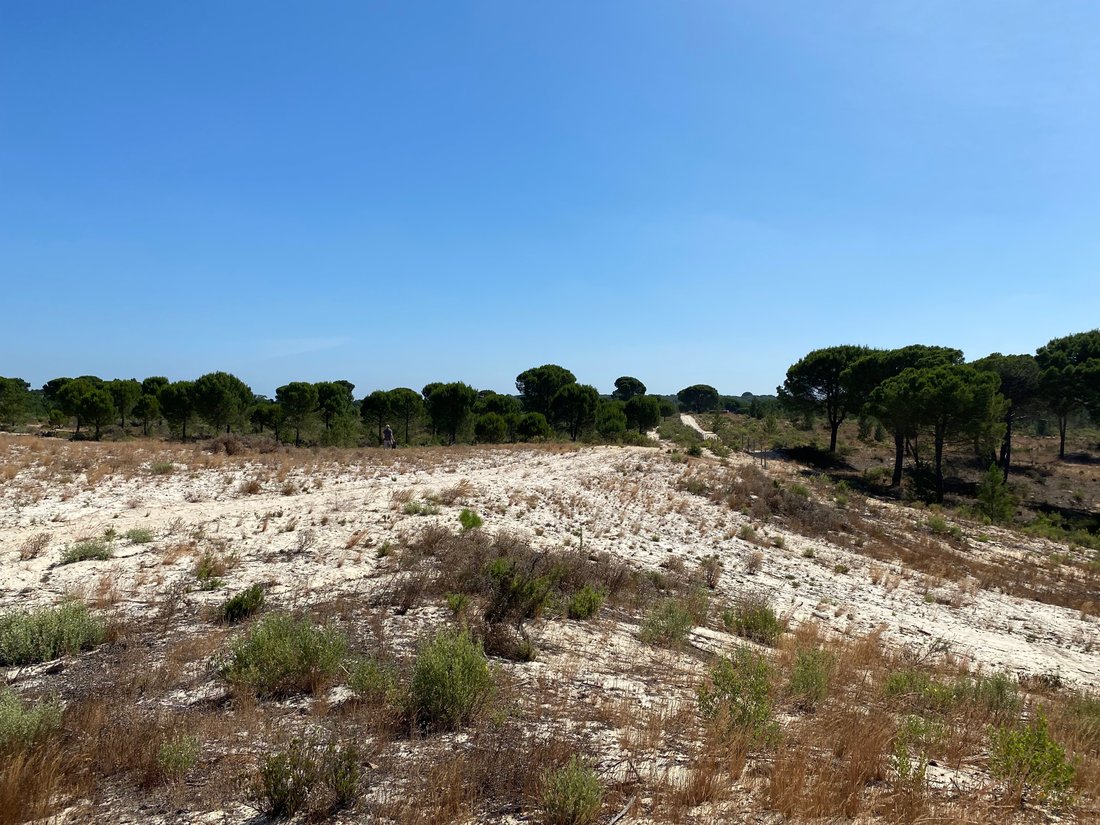 Land in Grandola e Santa Margarida da Serra, Setubal, Portugal 3 - 14430772