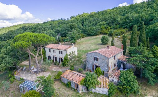 Azienda agricola a Monterotondo Marittimo, Toscana, Italia 1