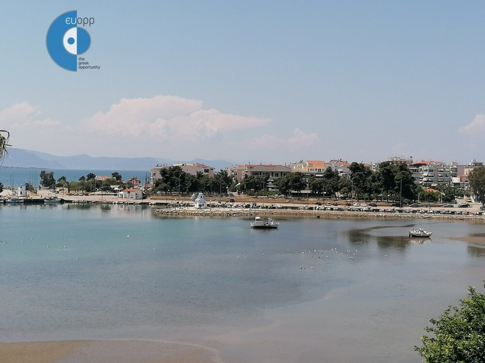 Nea Artaki, Thessaly and Central Greece, Greece 1 - 14438806