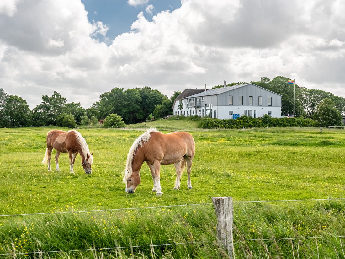 Farm Ranch in Pellworm, Schleswig-Holstein, Germany 3 - 14441388