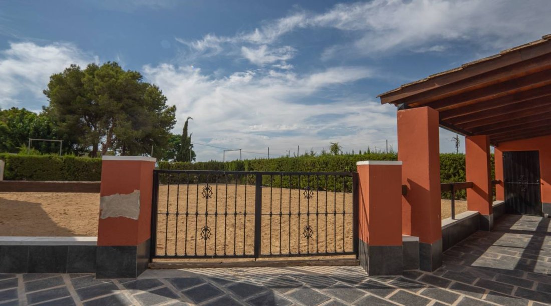 Villa in Almoradi, Valencian Community, Spain 4 - 14442016