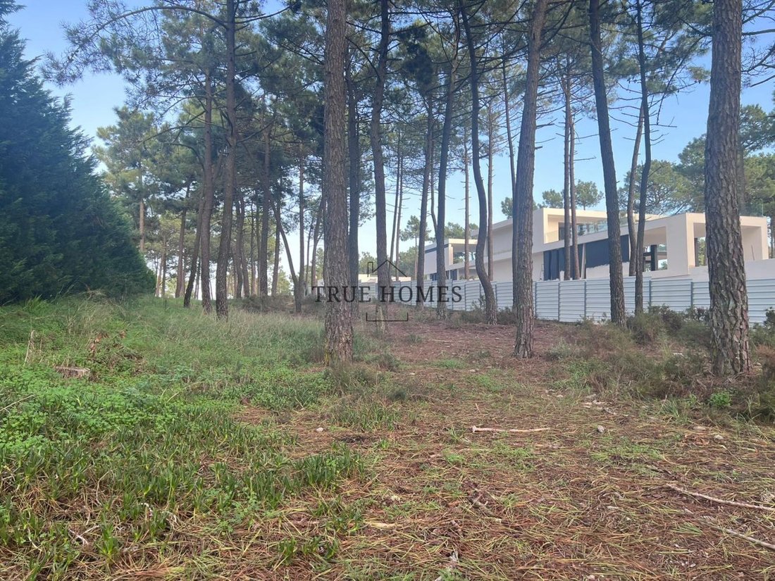 Land in Almada, Cova da Piedade, Pragal e Cacilhas, Setubal, Portugal 1 - 14442622